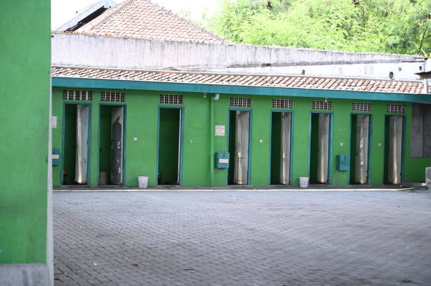 Best Sanitation services for porta potties  in Terrace Heights, WA